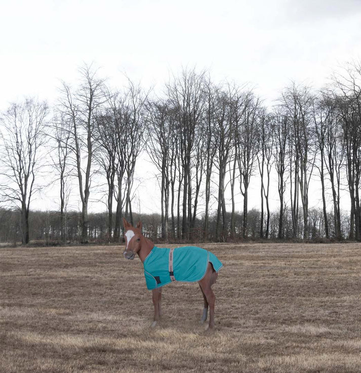 TuffRider 1200D Ripstop Foal Adjustable Turnout Blanket 220GSM Fill