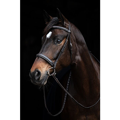 HKM Bridle -Hunter 2- Dark Brown
