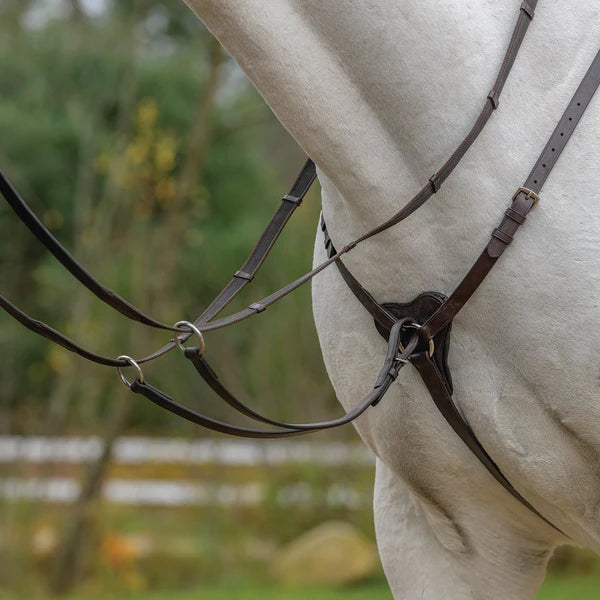 Shires Avignon three Point Breastplate
