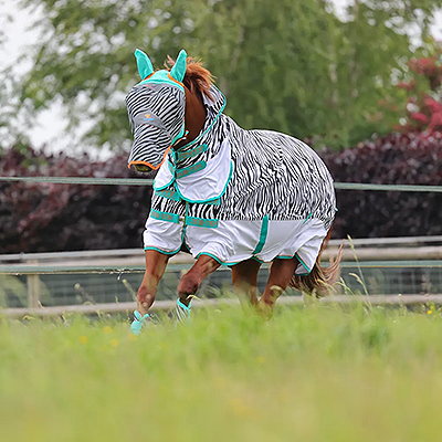 Shires Tempest Fly Sheet with Standard Neck - Zebra