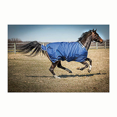 Kelley Equestrian 2500D Super Hug 200g Blanket