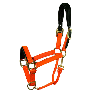 Intrepid International Chafeless Breakaway Halter with Padded Crown and Nose - Neon Orange