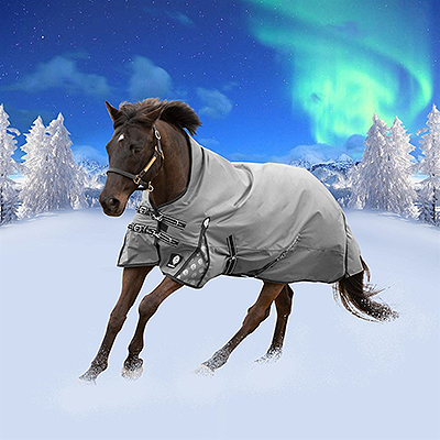 Equinavia Arktis Extended Neck Mid Weight Turnout Blanket 200g - Charcoal Gray