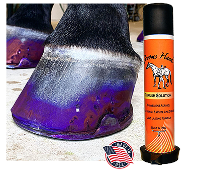 Groom’s Hand Thrush Solution ®
