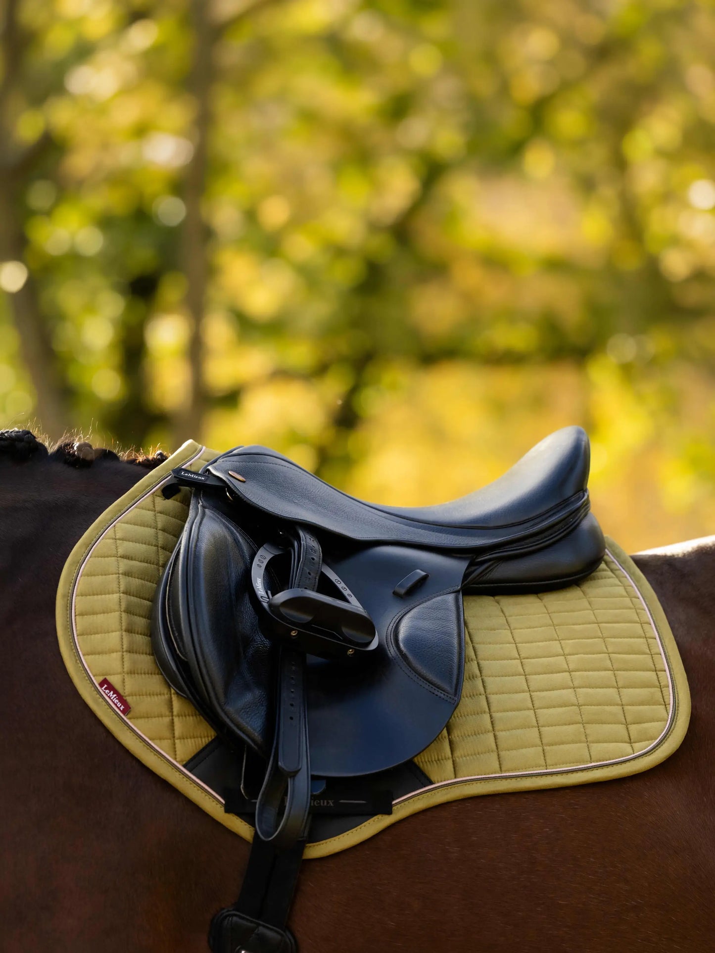 LeMieux Suede Close Contact Square