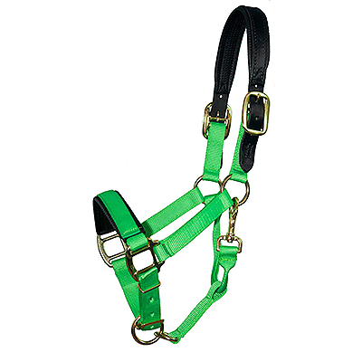 Intrepid International Chafeless Breakaway Halter Padded Crown and Nose - Neon Green