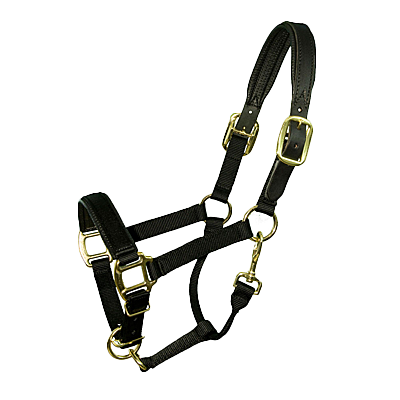 Intrepid International Chafeless Breakaway Halter with Padded Crown and Nose - Black