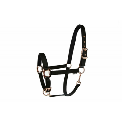 LÉTTIA Rosegold Breakaway Halter - Black