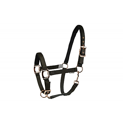 LÉTTIA Rosegold Breakaway Halter - Dark Grey