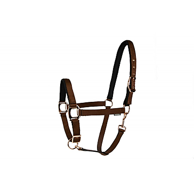 LÉTTIA Rosegold Breakaway Halter - Dark Brown