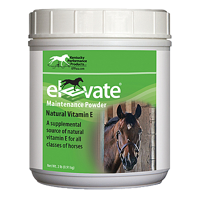 Elevate Maintenance Powder