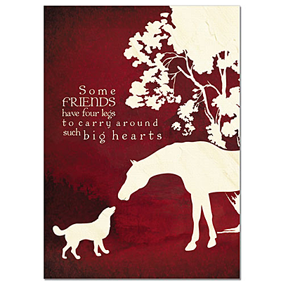 four legged friends