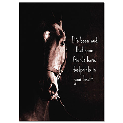 hoof print sympathy