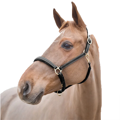 Dark Brown Horze Largo Halter
