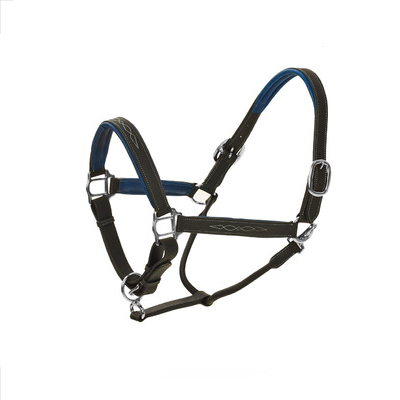 Ovation® Richtan Luxury Padded Halter - Black/Blue