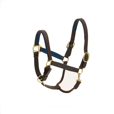 Ovation® Richtan Luxury Padded Halter - Brown/Blue