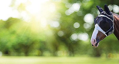 Shires Fine Mesh Fly Mask with Ears - Black