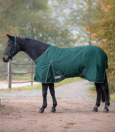 Waldhausen Economic Lightweight Turnout Blanket - Fir Green
