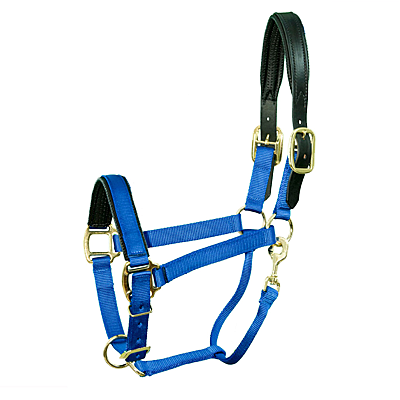 Intrepid International Chafeless Breakaway Halter with Padded Crown and Nose - Blue