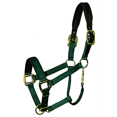 Intrepid International Chafeless Breakaway Halter with Padded Crown and Nose