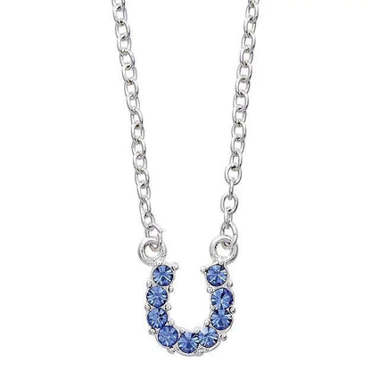AWST Aqua Rhinestone Horseshoe Necklace-Horse Head Gift Box