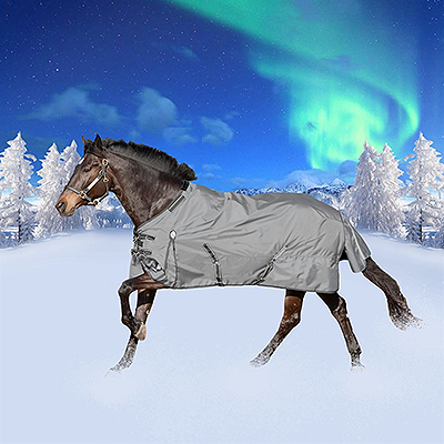 Equinavia Arktis Regular Neck Mid Weight Turnout Blanket 200g - Carbon Gray