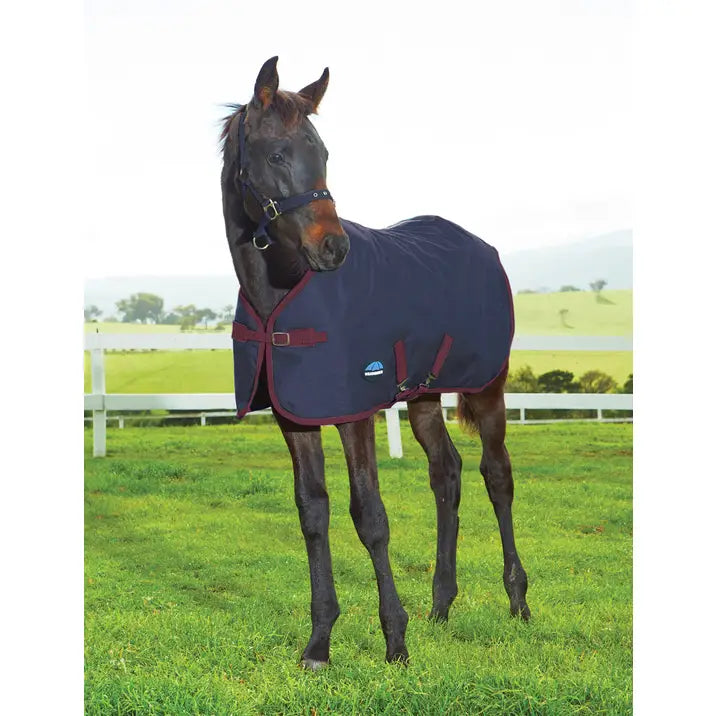 WEATHERBEETA  1200D Foal Standard Neck 220G