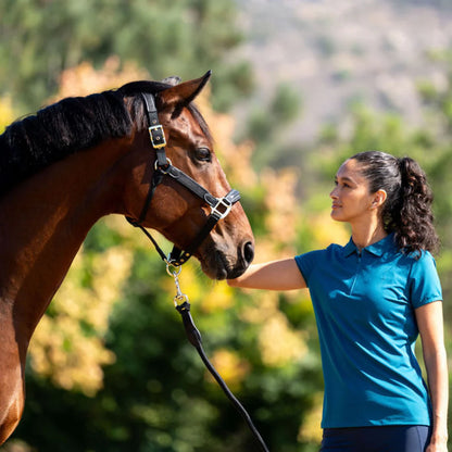 Aubrion React Tech Polo