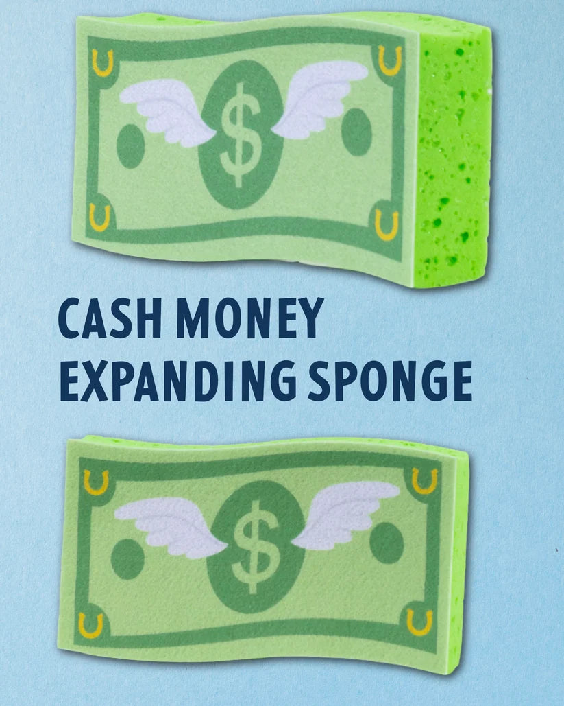 Dreamers And Schemers Cash Money Bath Sponge