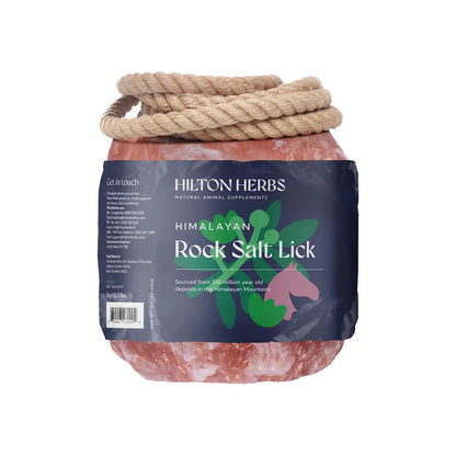 Himalayan Rock Salt Lick