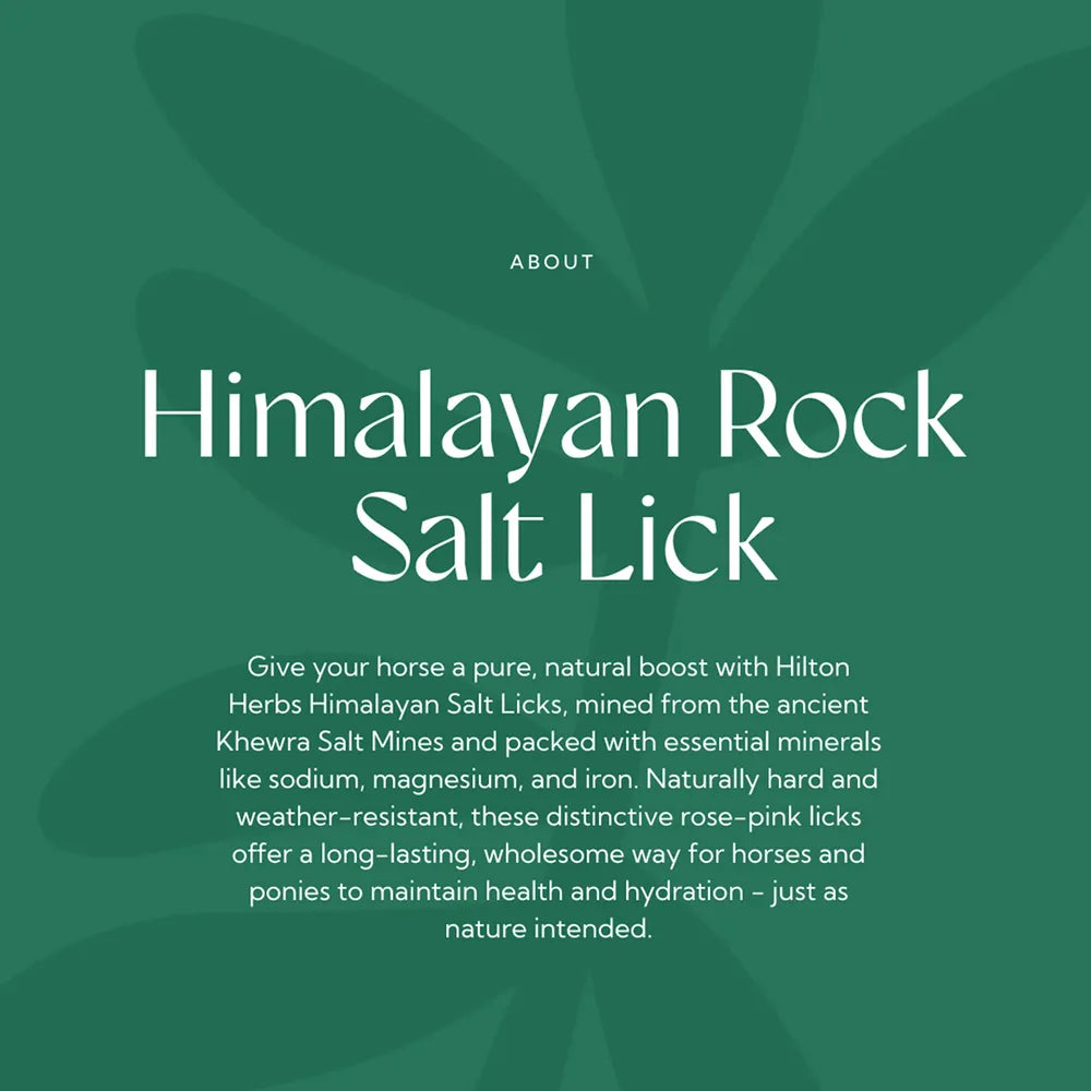Himalayan Rock Salt Lick