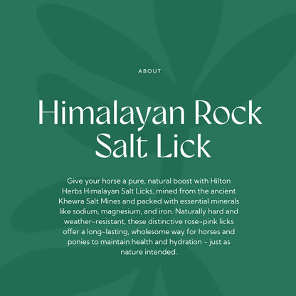 Himalayan Rock Salt Lick