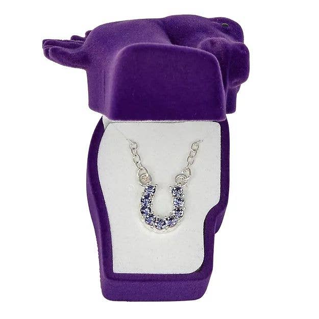 AWST Aqua Rhinestone Horseshoe Necklace-Horse Head Gift Box