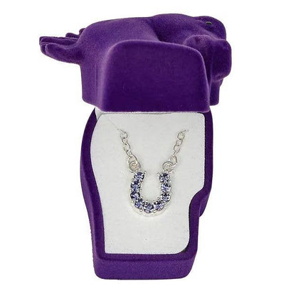 AWST Aqua Rhinestone Horseshoe Necklace-Horse Head Gift Box