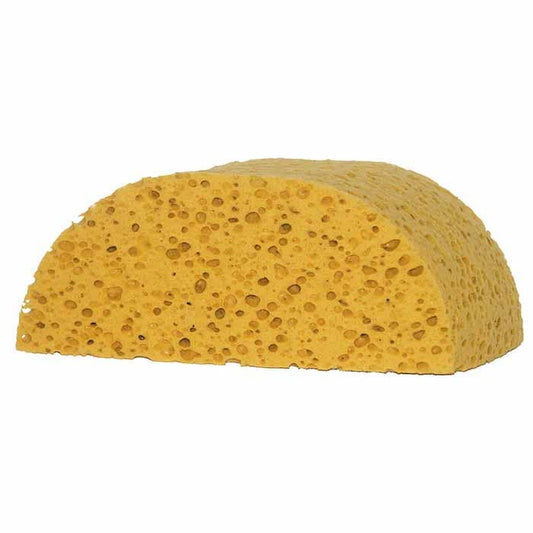 Humpback Sponge, 8.5" x 3.5