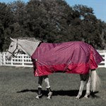 Equinavia Arktis Regular Neck Mid Weight Turnout Blanket 200g.