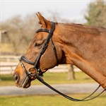 Equinavia Valkyrie Anatomic Dressage Bridle with Rubber Reins