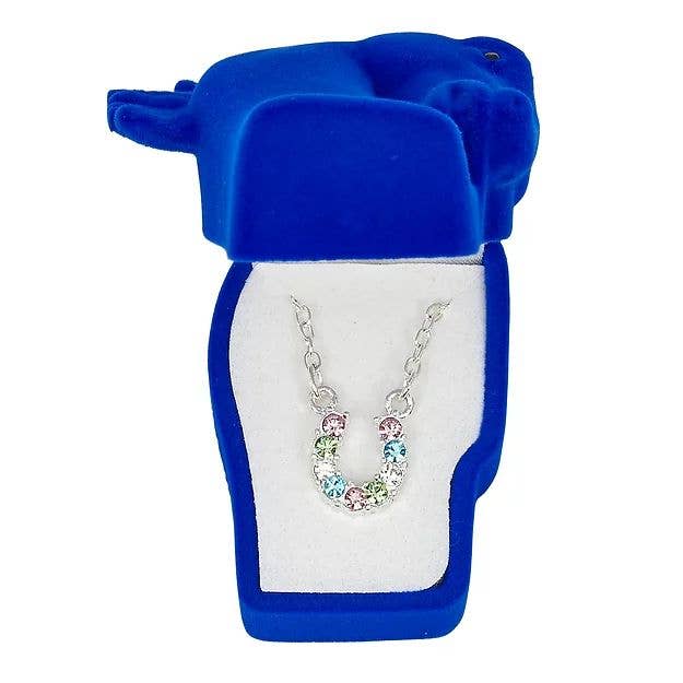 AWST Aqua Rhinestone Horseshoe Necklace-Horse Head Gift Box