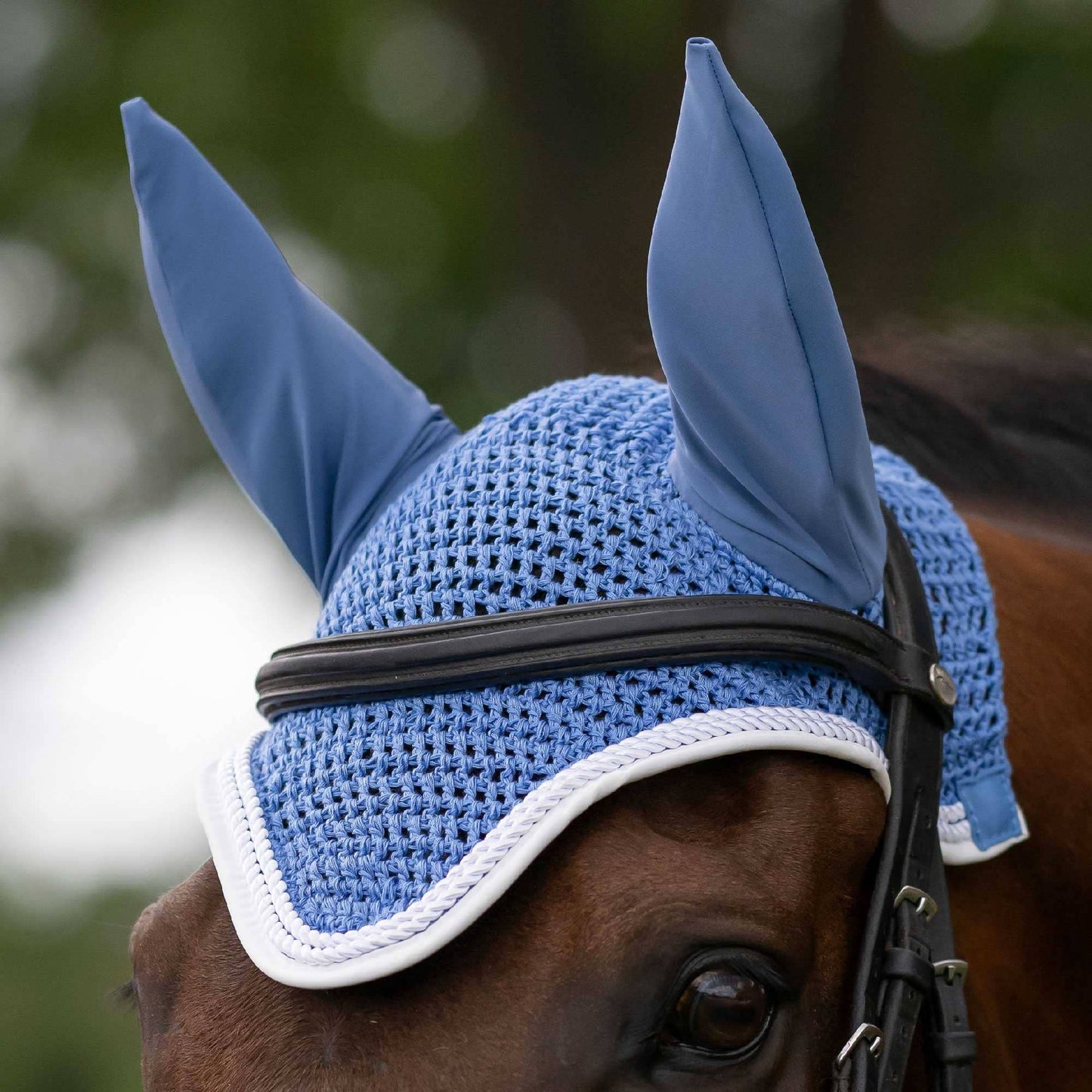 Dapplebay  Sport Fly Veil - French Blue