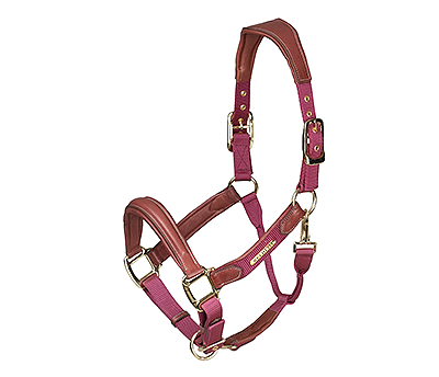 Lusso Padded Halter - Leather Breakaway - Burgundy