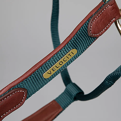 Lusso Padded Halter - Leather Breakaway - Green