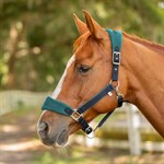 Equinavia Saga Fleece Padded Breakaway Halter
