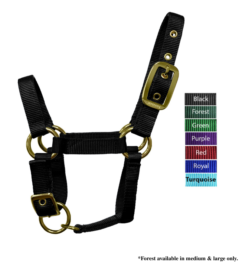 Valhoma Miniature Horse Halter