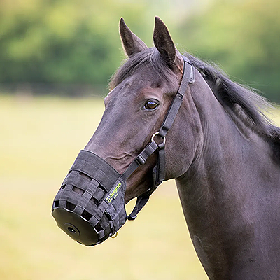 Shires Comfort Grazing Muzzle - Black