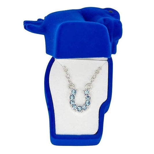 AWST Aqua Rhinestone Horseshoe Necklace-Horse Head Gift Box
