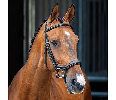 Shires Lusso Ergonomic Flash Bridle - Black