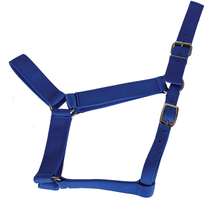 Valhoma Draft Horse Extra Wide Halter