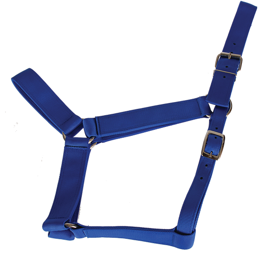 Valhoma Draft Horse Extra Wide Halter