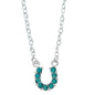 AWST Aqua Rhinestone Horseshoe Necklace-Horse Head Gift Box