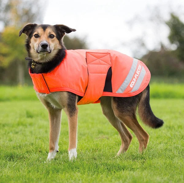 Shires EQUI-FLECTOR® Dog Coat